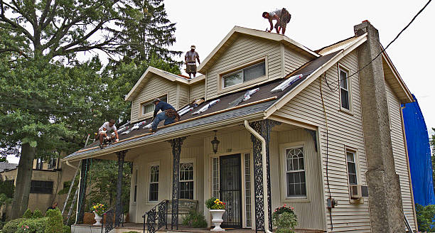Best Storm Damage Roof Repair  in Gibsonburg, OH