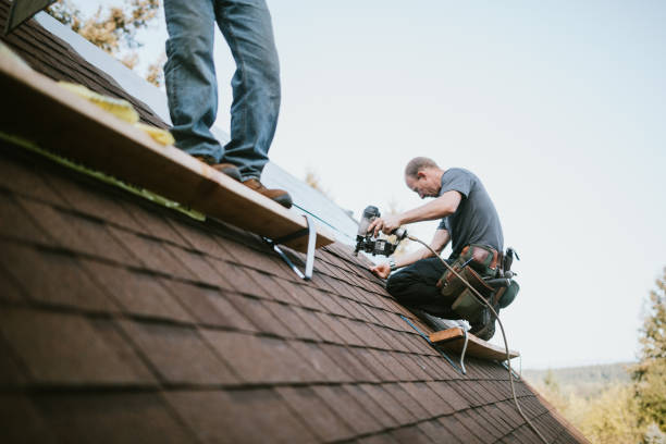 Best Metal Roofing Contractor  in Gibsonburg, OH